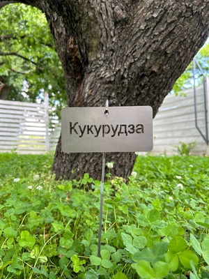 Садова табличка "Кукурудза" з тримачем 5019 фото