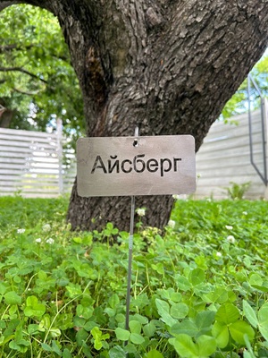 Садова табличка "Айсберг" з тримачем 5001 фото