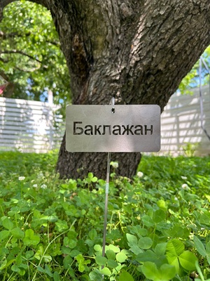 Садова табличка "Баклажан" з тримачем 5003 фото