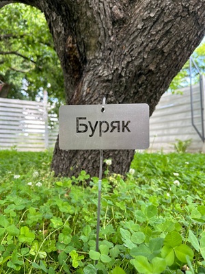 Садова табличка "Буряк" з тримачем 5004 фото